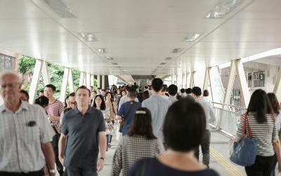 New work-based immigration rules