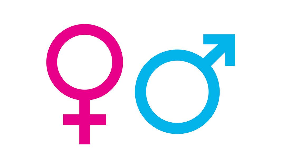 Recent updates on sex discrimination