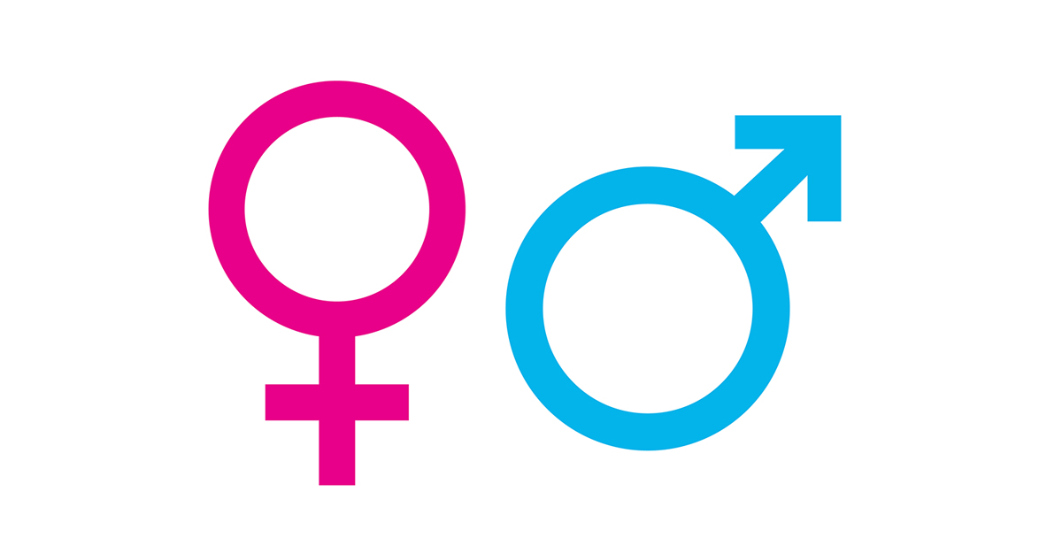 Recent updates on sex discrimination and harassment case law